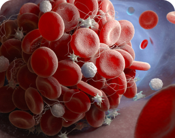 Wound Healing | Therapeutic Areas